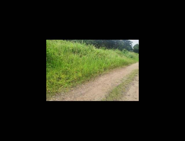 BUSINESS FOR SALE IN CRAIGIEBURN